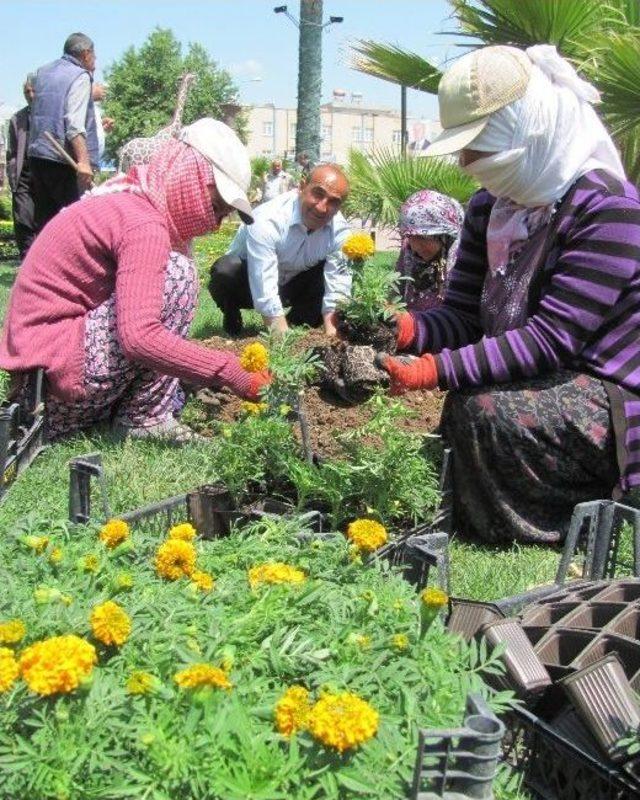 İşçilerle Birlikte Çapa Yapıp Çiçek Dikti