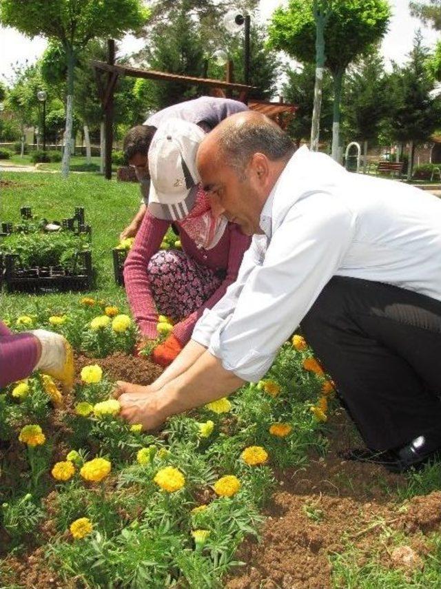 İşçilerle Birlikte Çapa Yapıp Çiçek Dikti