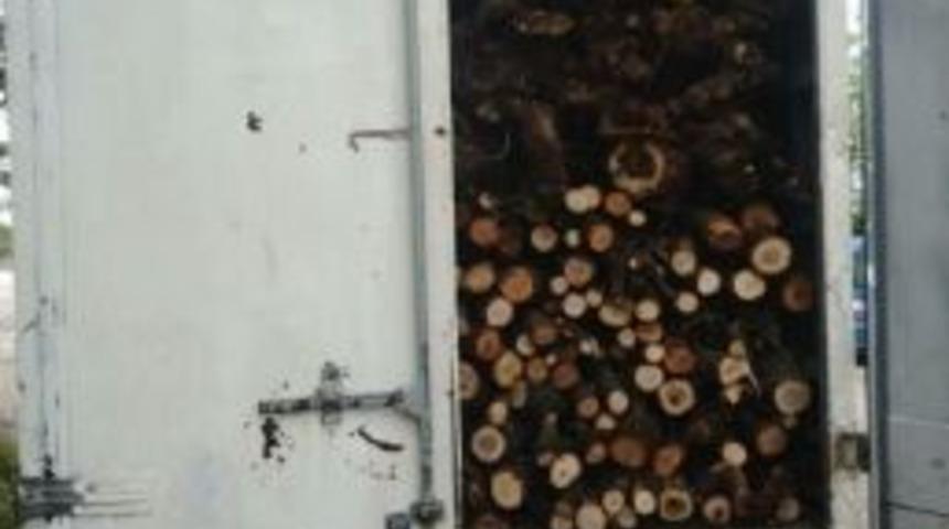 Diyarbakır&rsquo;da 1 Kamyon Dolusu Ka&ccedil;ak Kesilmiş Ağa&ccedil; Ele Ge&ccedil;irildi