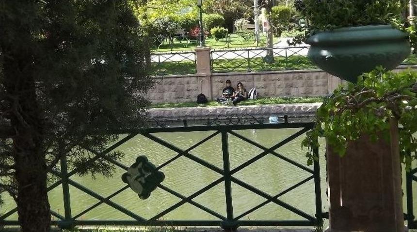 Porsuk Kıyısında Kitap Okumanın Zevki