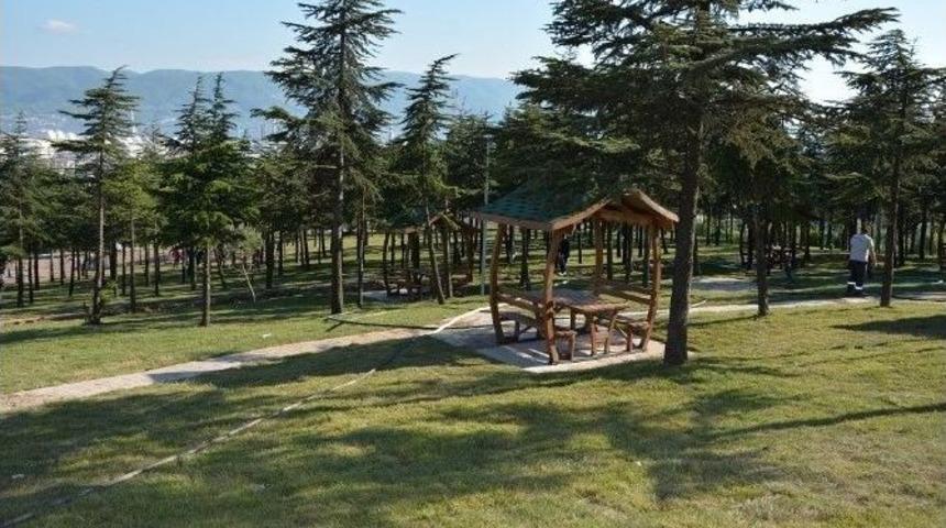 K&ouml;rfez&rsquo;in &Ccedil;ehresi Değişiyor