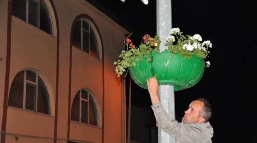 Niksar&rsquo;da Caddeler Sardunya İle Renklendi