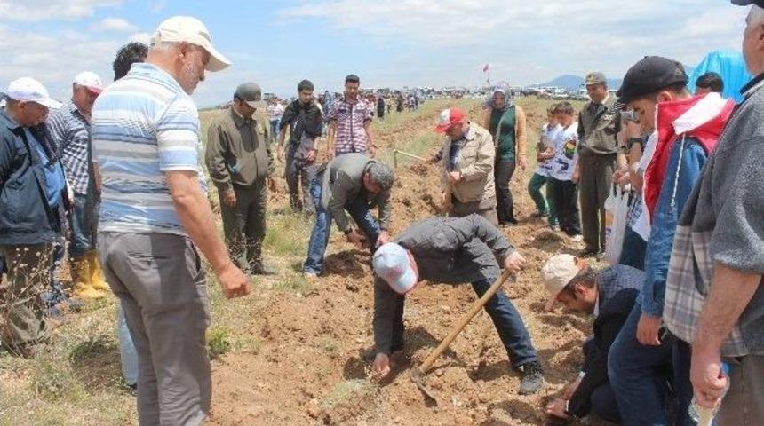 Beyşehir&rsquo;de Fidan Dikme Etkinliği