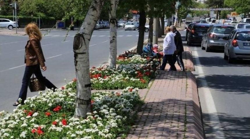 Melikgazi Şimdi &Ccedil;i&ccedil;ek Bah&ccedil;esi