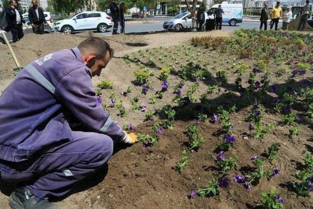 Melikgazi Şimdi Çiçek Bahçesi