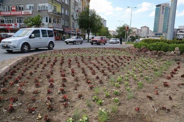 Melikgazi Şimdi Çiçek Bahçesi