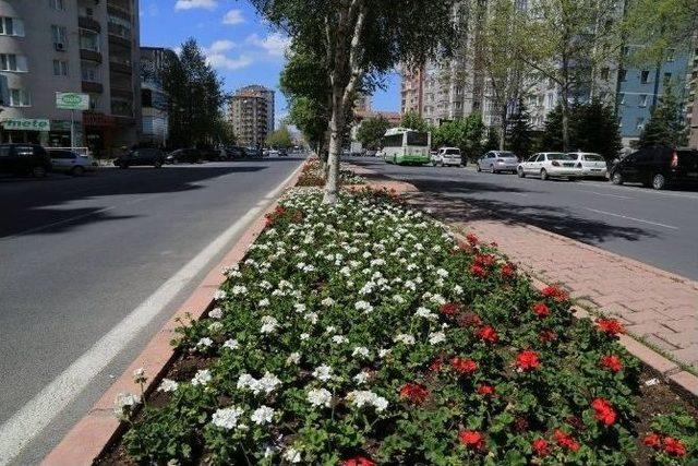 Melikgazi Şimdi Çiçek Bahçesi