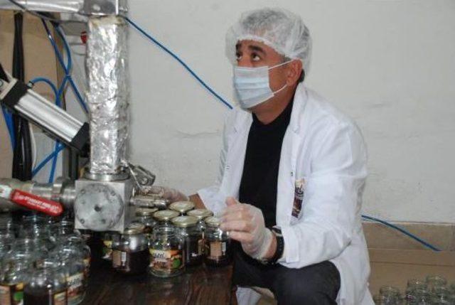 Evinin Alt Katına Tesis Kurup, Ke&ccedil;i Boynuzu Kreması &Uuml;retti 1