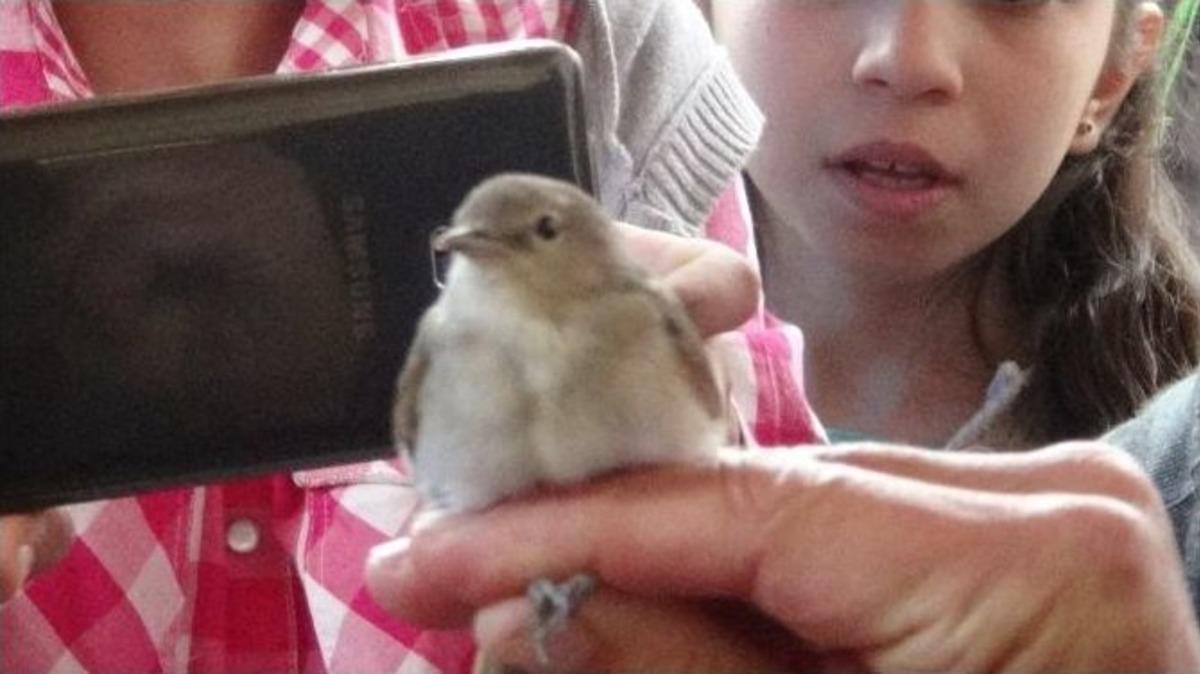 &Ouml;ğrencilere Kuş Halkalanması Eğitimi