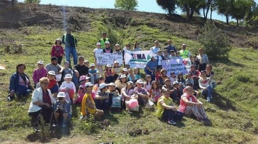 Tegv-tema İşbirliğiyle Fidan Dikimi