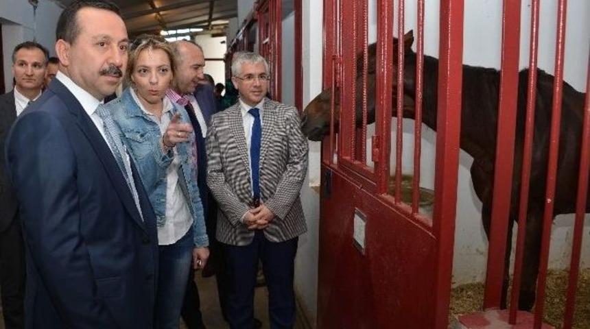 Rekt&ouml;r G&ouml;kbel&rsquo;den Binicilik Tesislerine Ziyaret