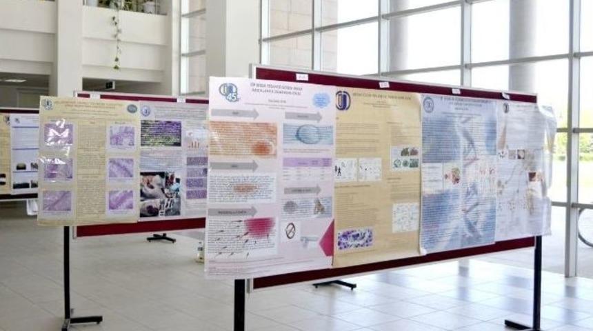 Esog&uuml;&rsquo;de Biyoloji &Ccedil;&ouml;z&uuml;mlemeleri Etkinlik Sergisi A&ccedil;ıldı