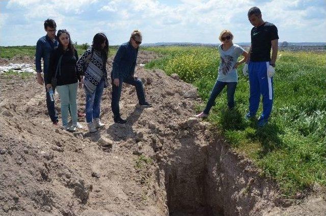 Eskişehir’de Toplu Hayvan Mezarı İddiası