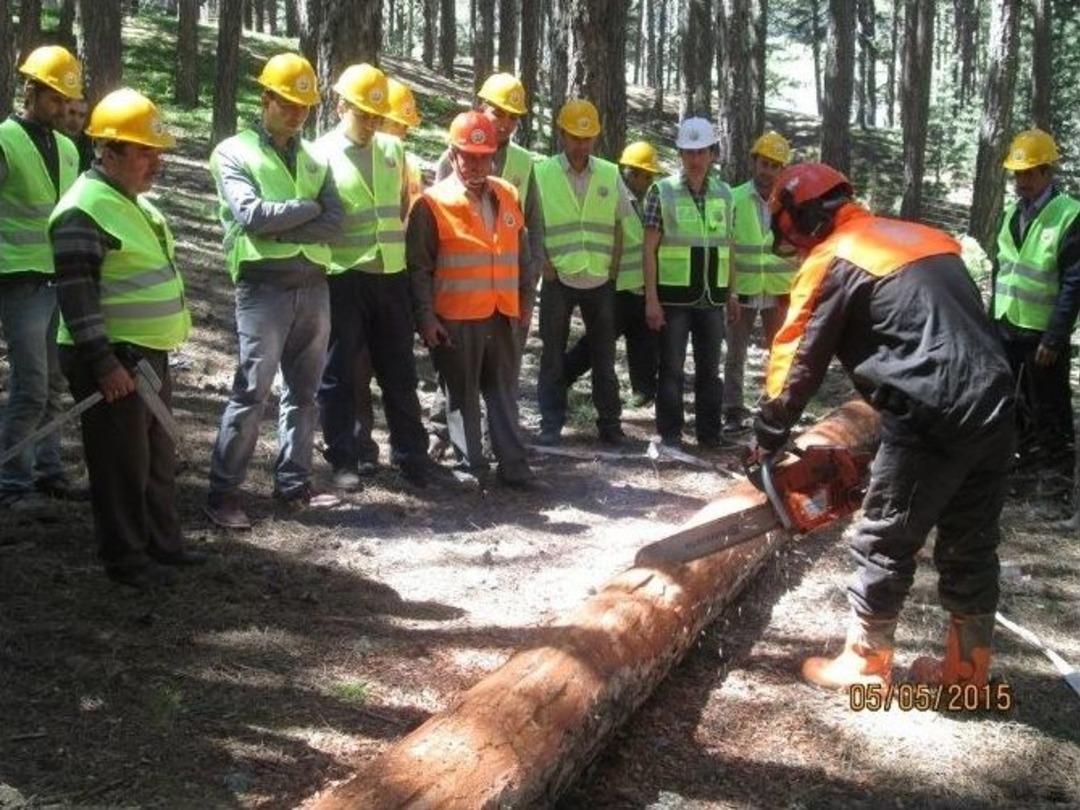 Ağa&ccedil; Kesme Ve Boyama Eğitimi