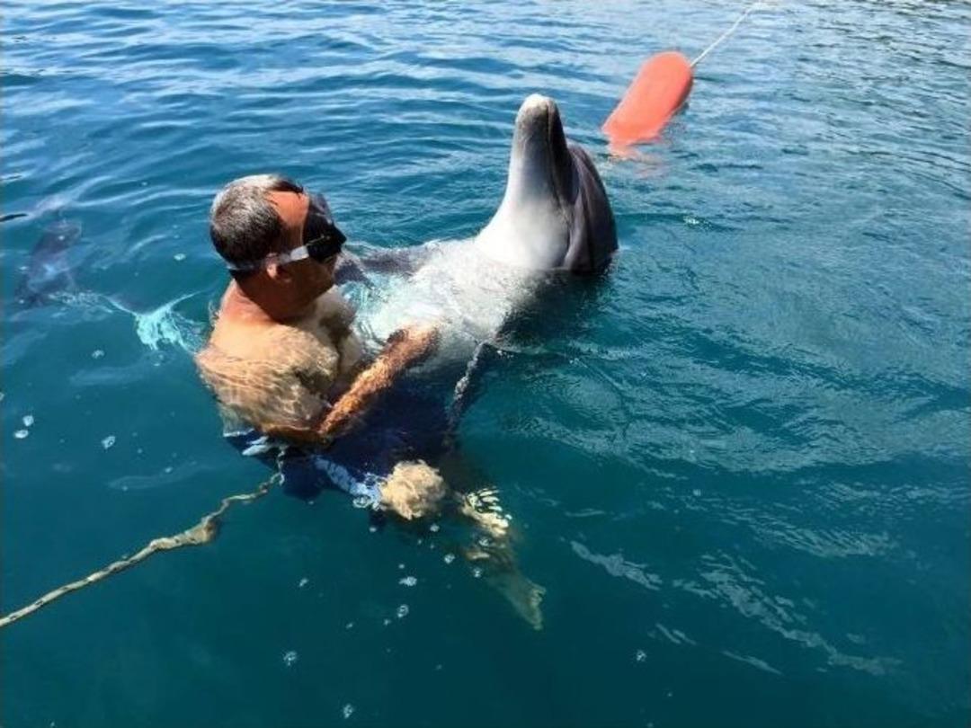 (&ouml;zel Haber) Yunus Tom, Kızkumu Sahilinde Bitkin Halde Bulundu