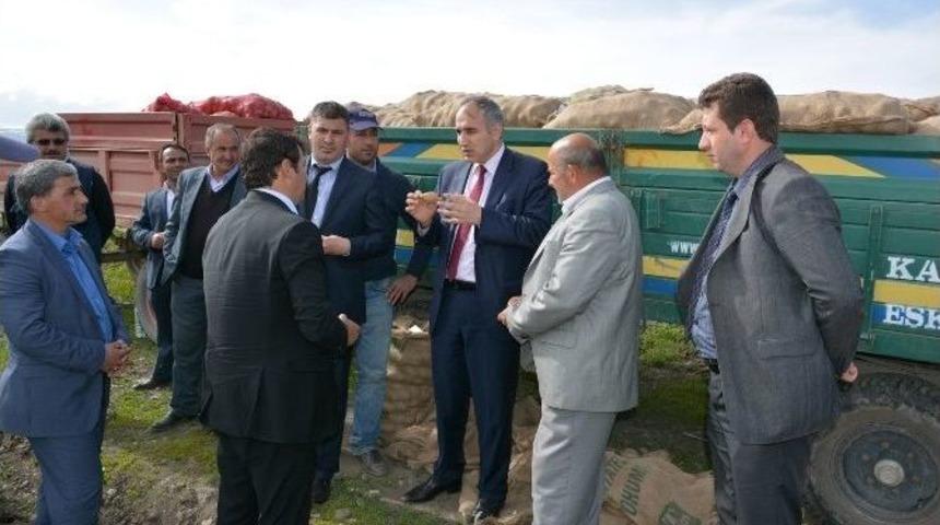 Pasinler&rsquo;de &Ccedil;ift&ccedil;iler, Sertifikalı Ana&ccedil; Tohumculuğa Y&ouml;neldi