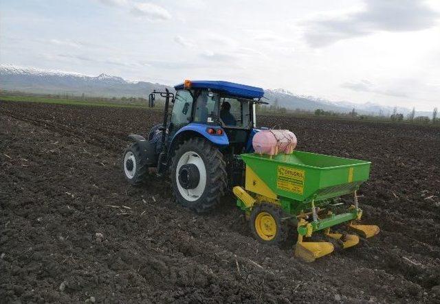 Pasinler’de Çiftçiler, Sertifikalı Anaç Tohumculuğa Yöneldi