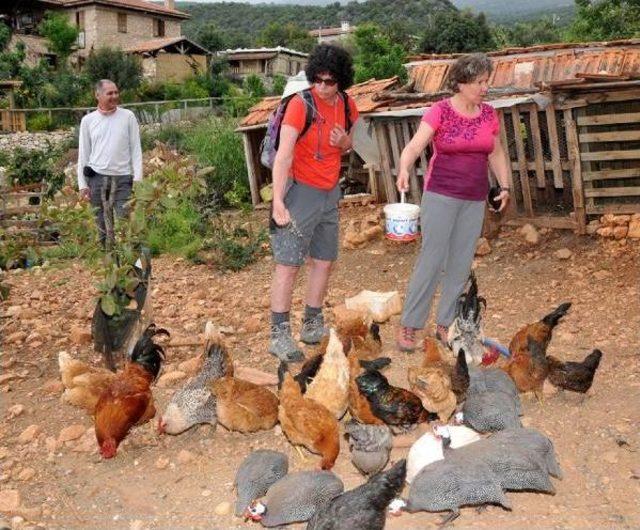 Asırlık Taş Evlerde Tatil 1