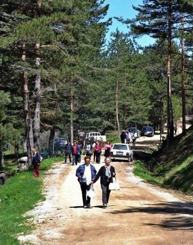 “çatacık Ormanları Doğa Yürüyüşü” Etkinliği