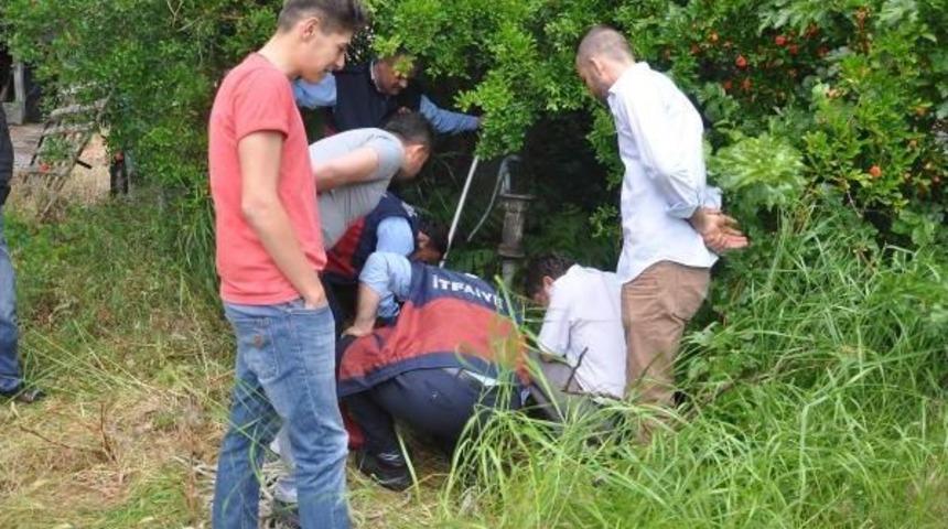 Kuyuya D&uuml;şen K&ouml;peği Itfaiye Kurtardı