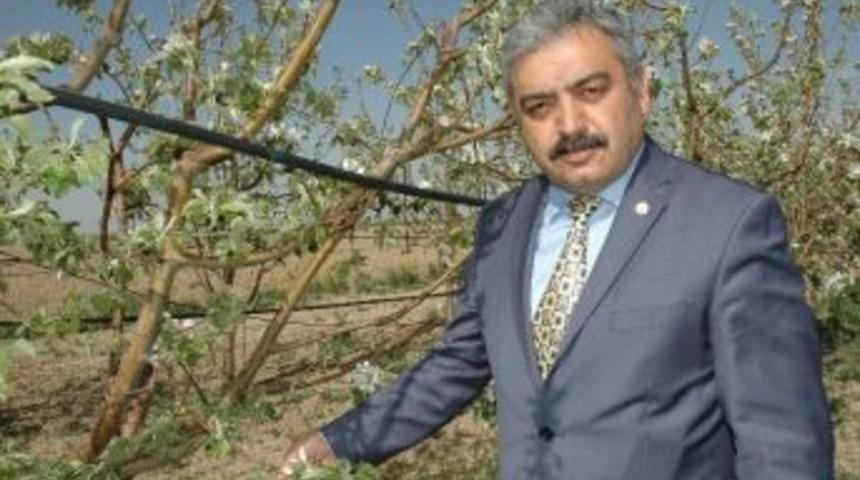 Karaman&rsquo;da Don Zararı 336 Milyon Lira