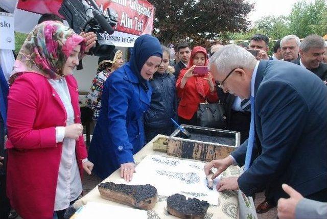 Tokat&rsquo;ta Hayat Boyu &Ouml;ğrenme Şenliği 3