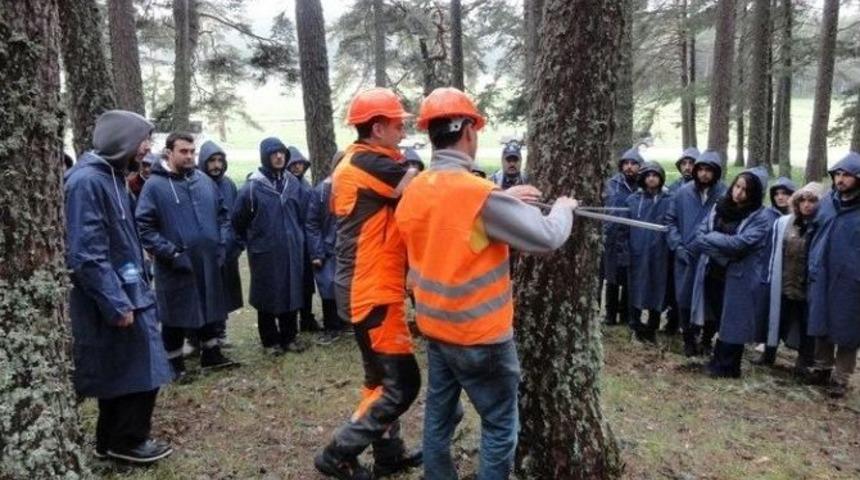 Orman Fak&uuml;ltesi &Ouml;ğrencileri Dersi Ormanda Yaptılar