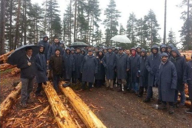 Orman Fak&uuml;ltesi &Ouml;ğrencileri Dersi Ormanda Yaptılar 1