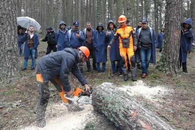 Orman Fak&uuml;ltesi &Ouml;ğrencileri Dersi Ormanda Yaptılar 2