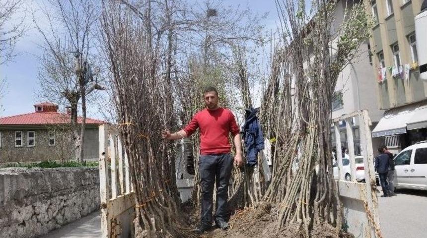 Muş&rsquo;ta 6 Liraya Fidan Satışları Başladı