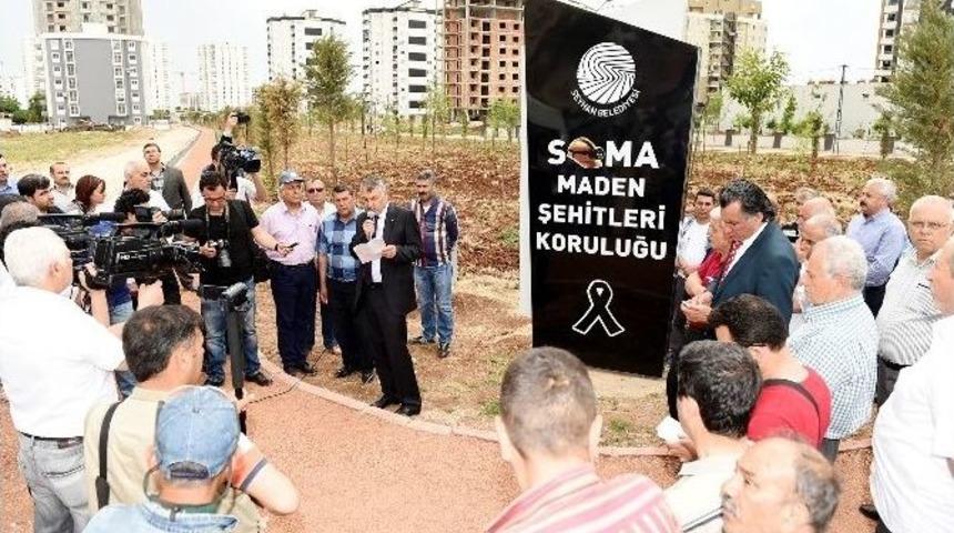 Seyhan&rsquo;da 301 Şehit Madencinin Anısına 301 Fidan Dikildi