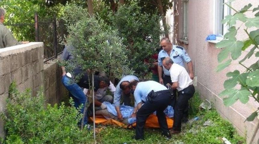 Ağa&ccedil;tan D&uuml;şen Yaşlı Adam Hayatını Kaybetti