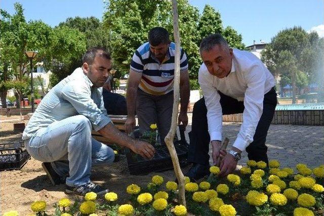 Büyükşehir, Nazilli’deki Parkları Çiçeklendiriyor