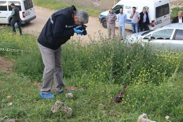 Gaziantep’te Kesilmiş Kadın Bacağı Bulundu 2
