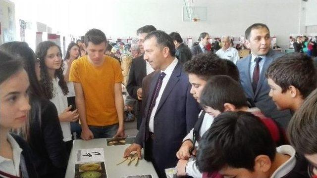 Bozüyük Kumral Abdal Anadolu Lisesi Tübitak Bilim Fuarı Düzenledi