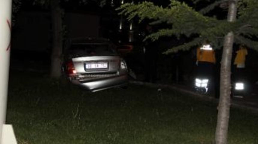 Yoldan Çıkan Otomobil Parka Girdi