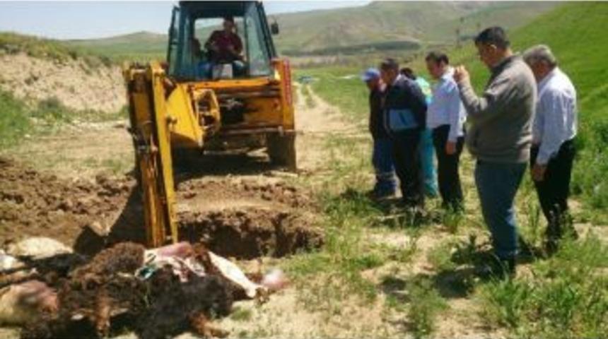 Pursaklar Zabıtasından Ka&ccedil;ak Kesim Operasyonu