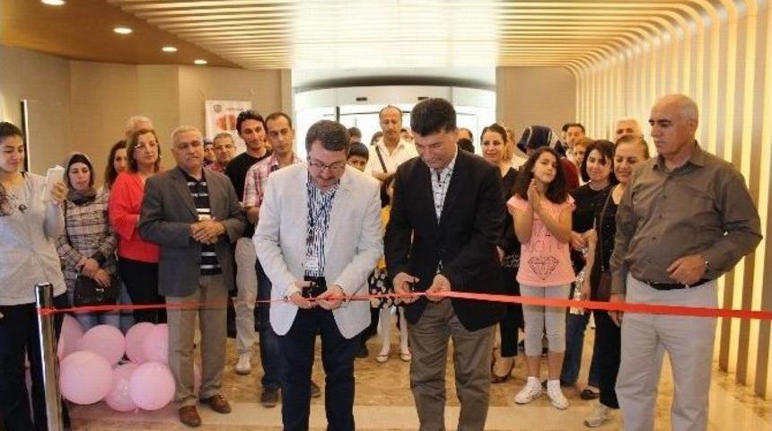 &lsquo;bir G&uuml;n&uuml;mde Değil Her G&uuml;n&uuml;mdesin Anneciğim&rsquo; Resim Sergisi Memorıal Dicle Hastanesi&rsquo;nde