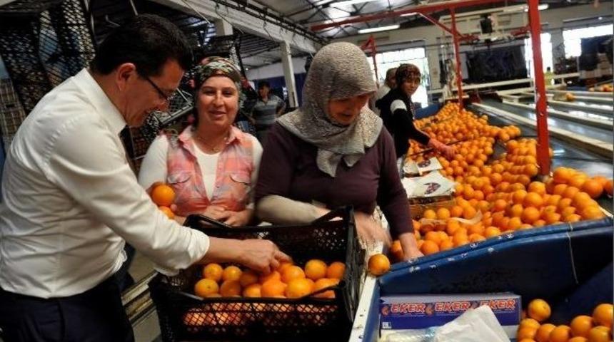 Ak Parti Adayı Uslu&rsquo;ya, Doğup B&uuml;y&uuml;d&uuml;ğ&uuml; Mahalleden Tam Destek
