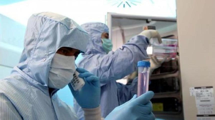 &Ouml;ld&uuml;r&uuml;c&uuml; Vir&uuml;sler, Akıllı H&uuml;crelerle Yok Edilecek