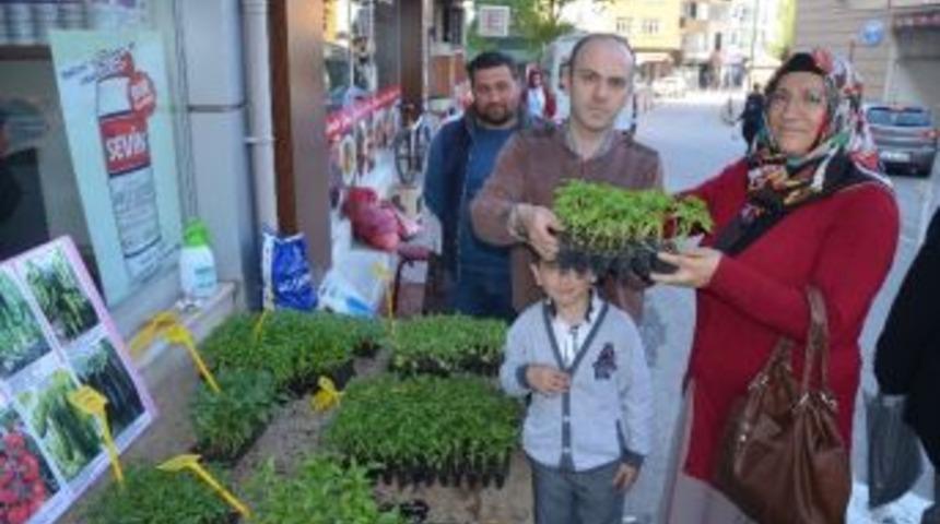 Fatsa&rsquo;da Fideye Yoğun Rağbet