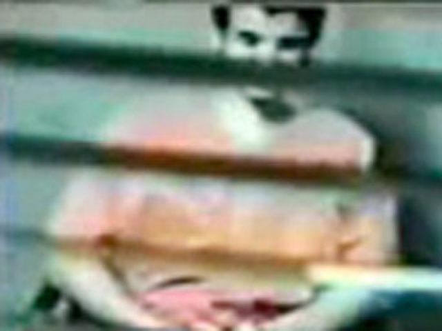 Guantanamo’da sorgu 1