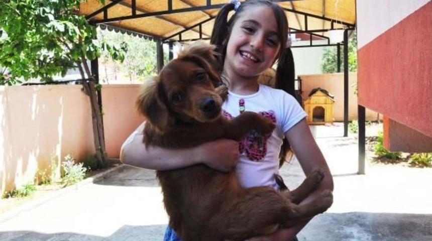 Türkiye Onu Babasının Mezarına Bıraktığı Mektupla Tanıdı