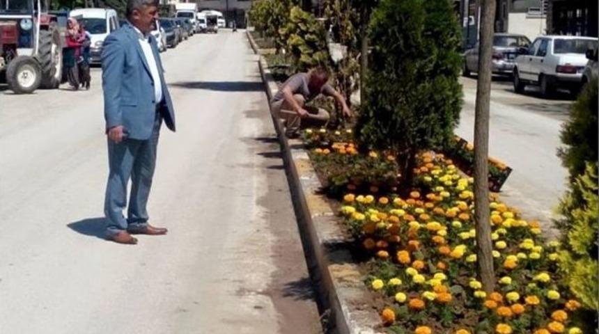 Yığılca &Ccedil;i&ccedil;ek A&ccedil;tı