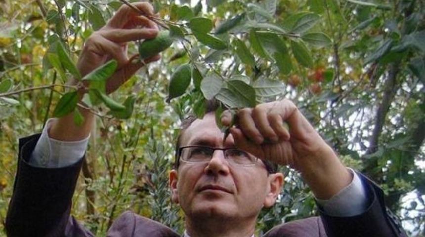 Bayrami&ccedil;'te Bine Yakın Tavuk G&ouml;m&uuml;l&uuml;p, Itlaf Edildi