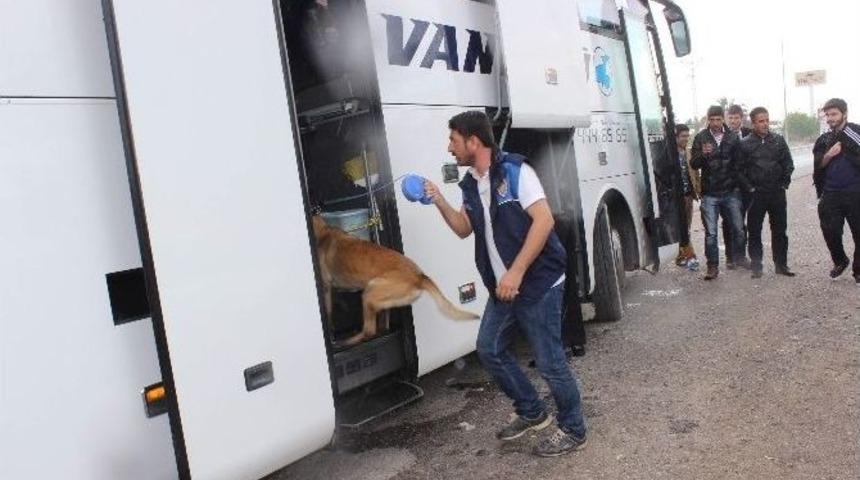 (&ouml;zel Haber) Narkotik Polis K&ouml;peği Chaira Uyuşturucu Tacirlerinin Korkulu R&uuml;yası Oldu
