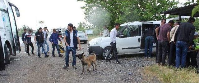 (özel Haber) Narkotik Polis Köpeği Chaira Uyuşturucu Tacirlerinin Korkulu Rüyası Oldu