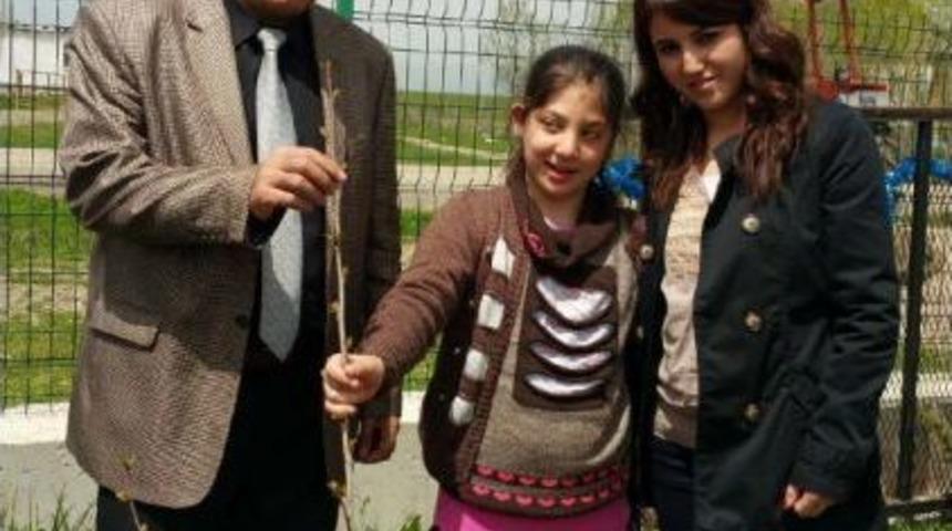 Rehabilitasyon Merkezi &Ouml;ğrencileri Ilkokul Bah&ccedil;esine Fidan Dikti