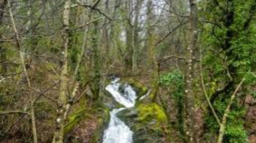 Edremit&rsquo;te Sağlıklı Yaşam Y&uuml;r&uuml;y&uuml;ş&uuml; Yapılacak