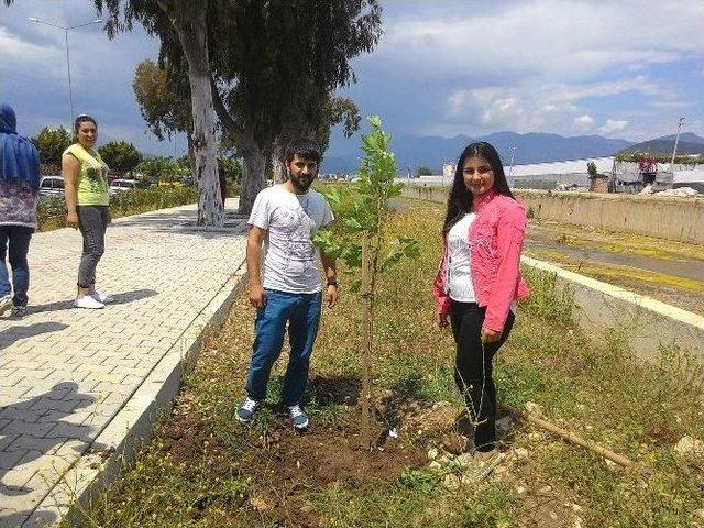 Kmyo Öğrencileri, Yürüyüş Yoluna Çınar Fidanı Dikti